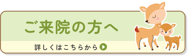 ご来院の方へ